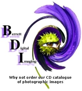 BDI LOGO